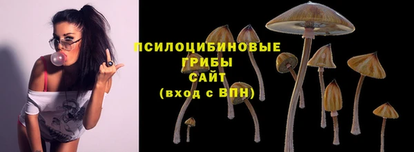 герыч Алзамай