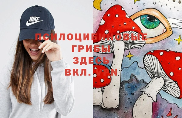 МДПВ Алексин