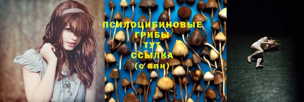 тгк Алексеевка