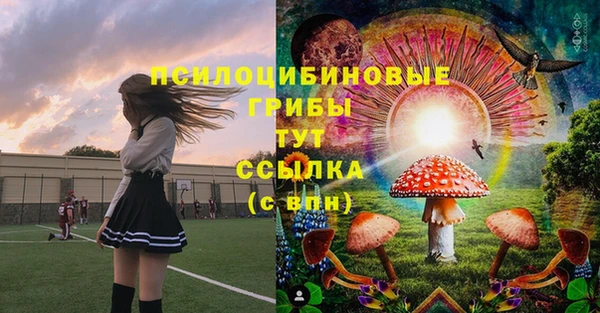 МДПВ Алексин