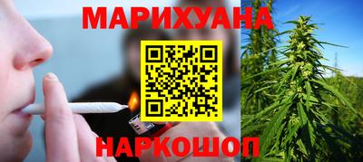прущие грибы Шахты