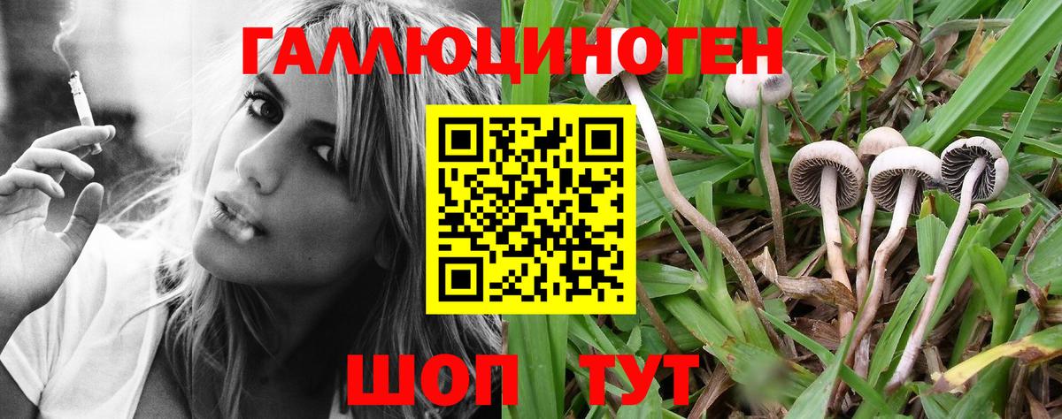Лобня  Псилоцибиновые грибы GOLDEN TEACHER  Галлюциногенные грибы Cubensis  Вход с VPN 