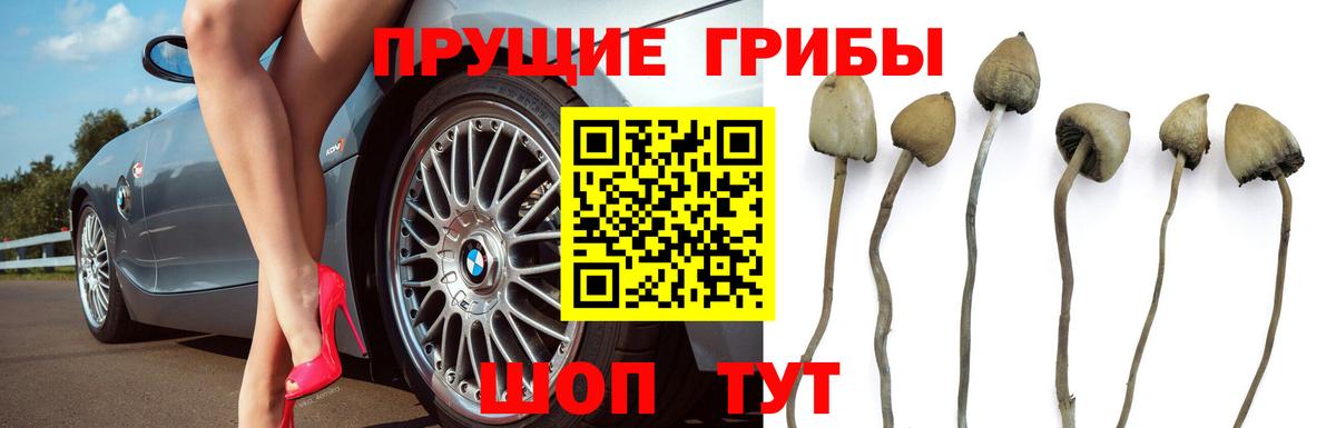 Галлюциногенные грибы ЛСД Лобня